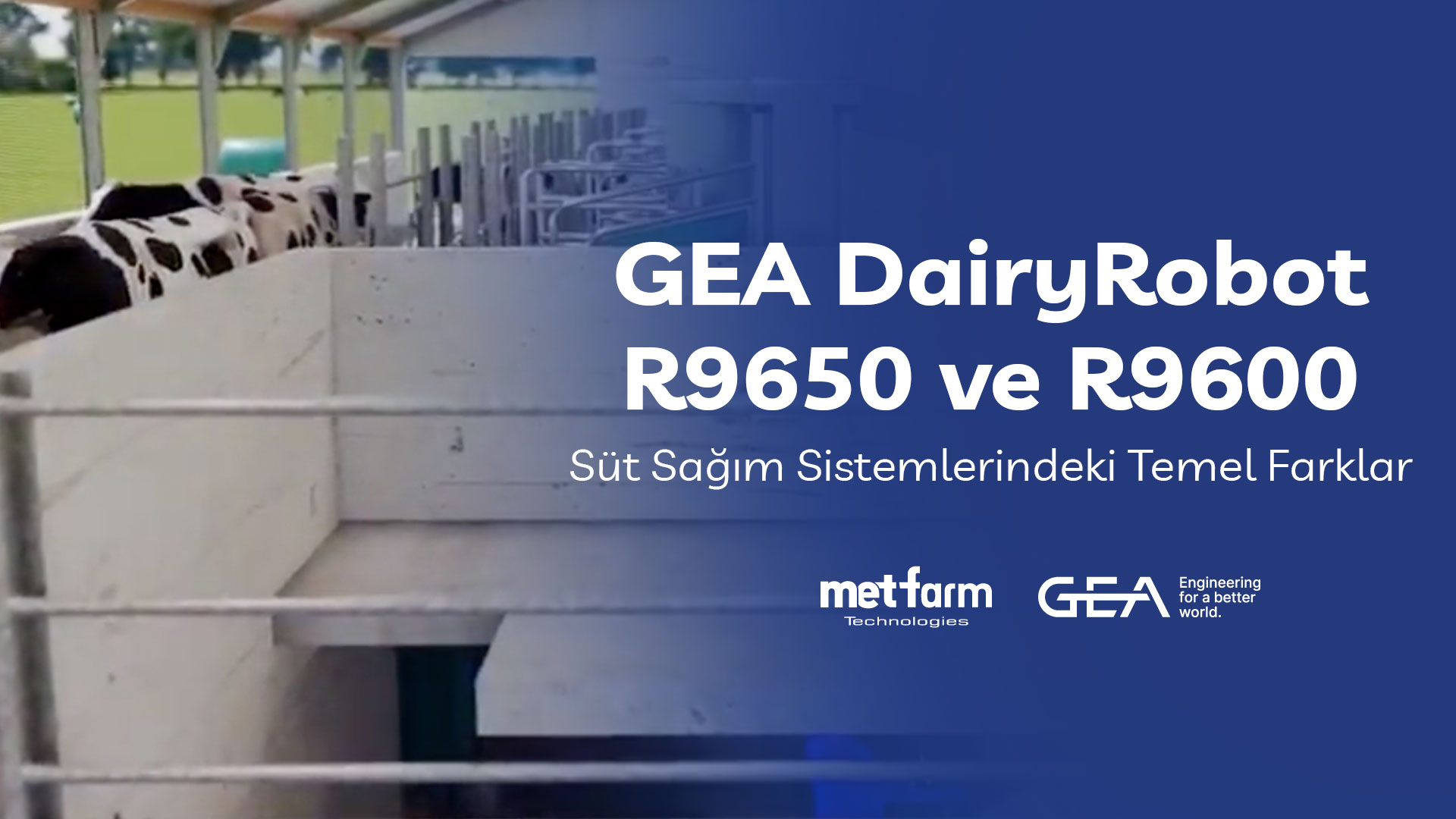 GEA DairyRobot R9650 ve R9600: Süt Sağım Sistemlerindeki Temel Farklar